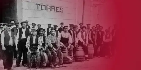Trabajadores de Torres, donde se elabora el vino Sangre de Toro.